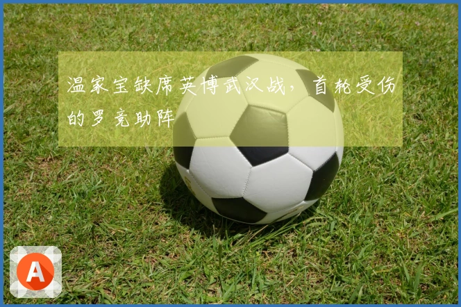 温家宝缺席英博武汉战，首轮受伤的罗竞助阵