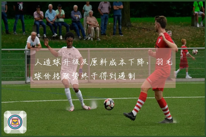 人造球升级及原料成本下降，羽毛球价格涨势终于得到遏制