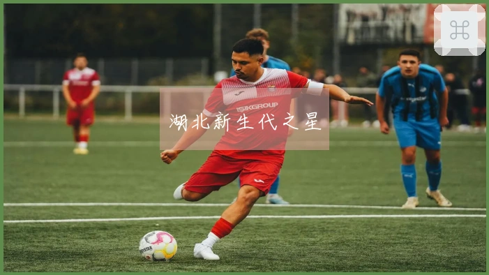 湖北新生代之星